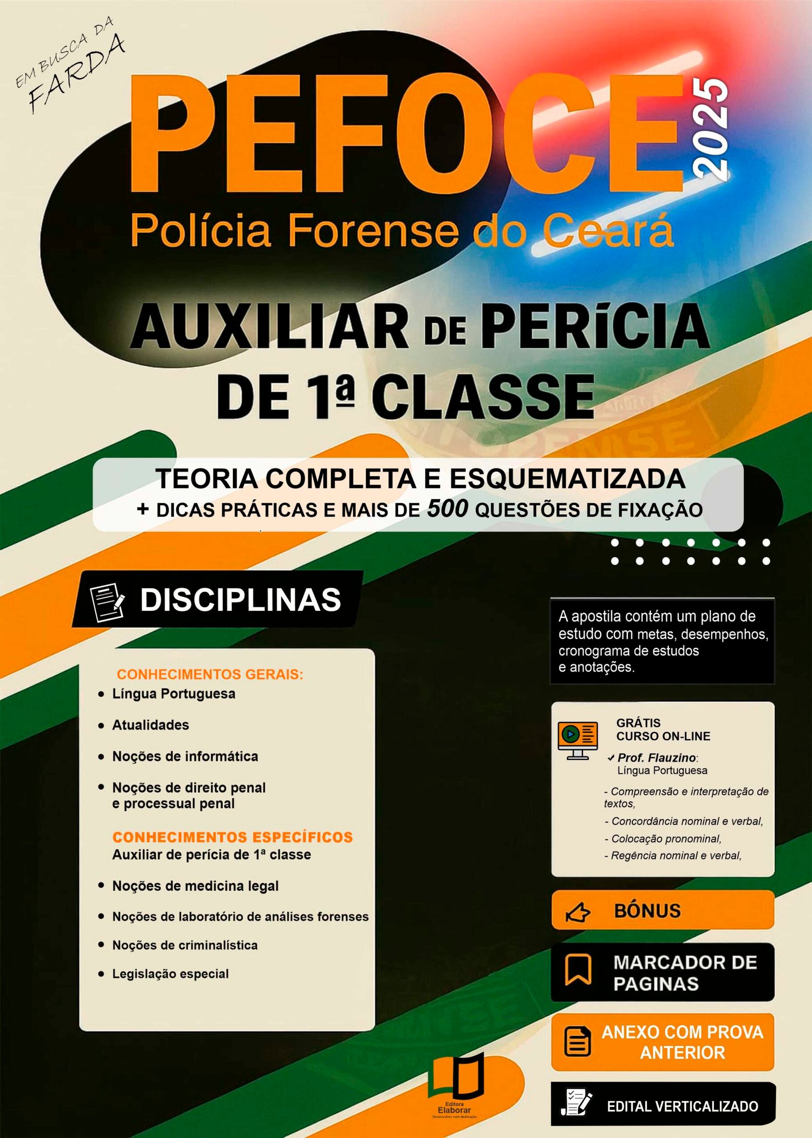 CAPA AUXILIAR PEFOCE 2025